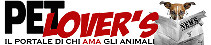 Publisher